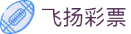 飞扬彩票 - 极速存取款体验与专业客服支持的博彩站